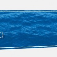 Boletim Informativo - Agosto