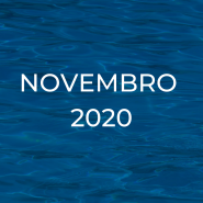 Boletim Informativo - Novembro 