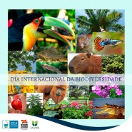  Dia Internacional da Biodiversidade