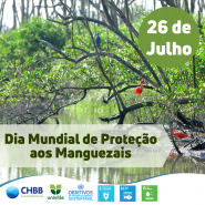 26 de julho - Dia Mundial de Proteção aos Manguezais