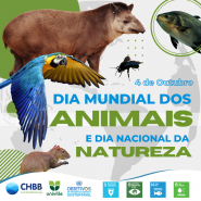 04 de outubro - Dia Mundial dos Animais e Dia Nacional da Natureza