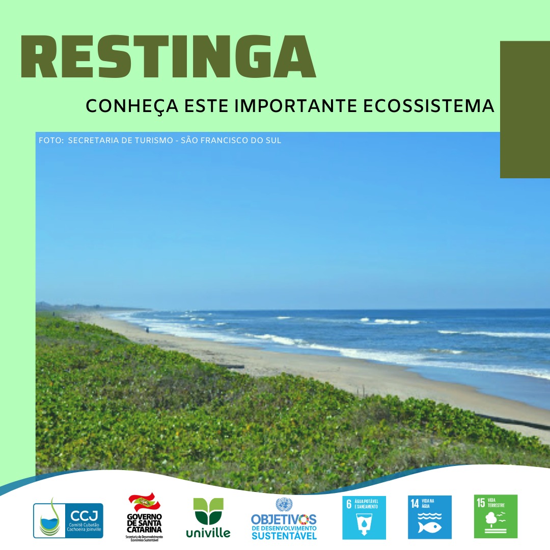 Restingas 