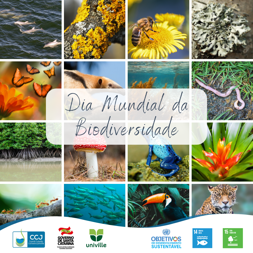 Dia Nacional da Biodiversidade