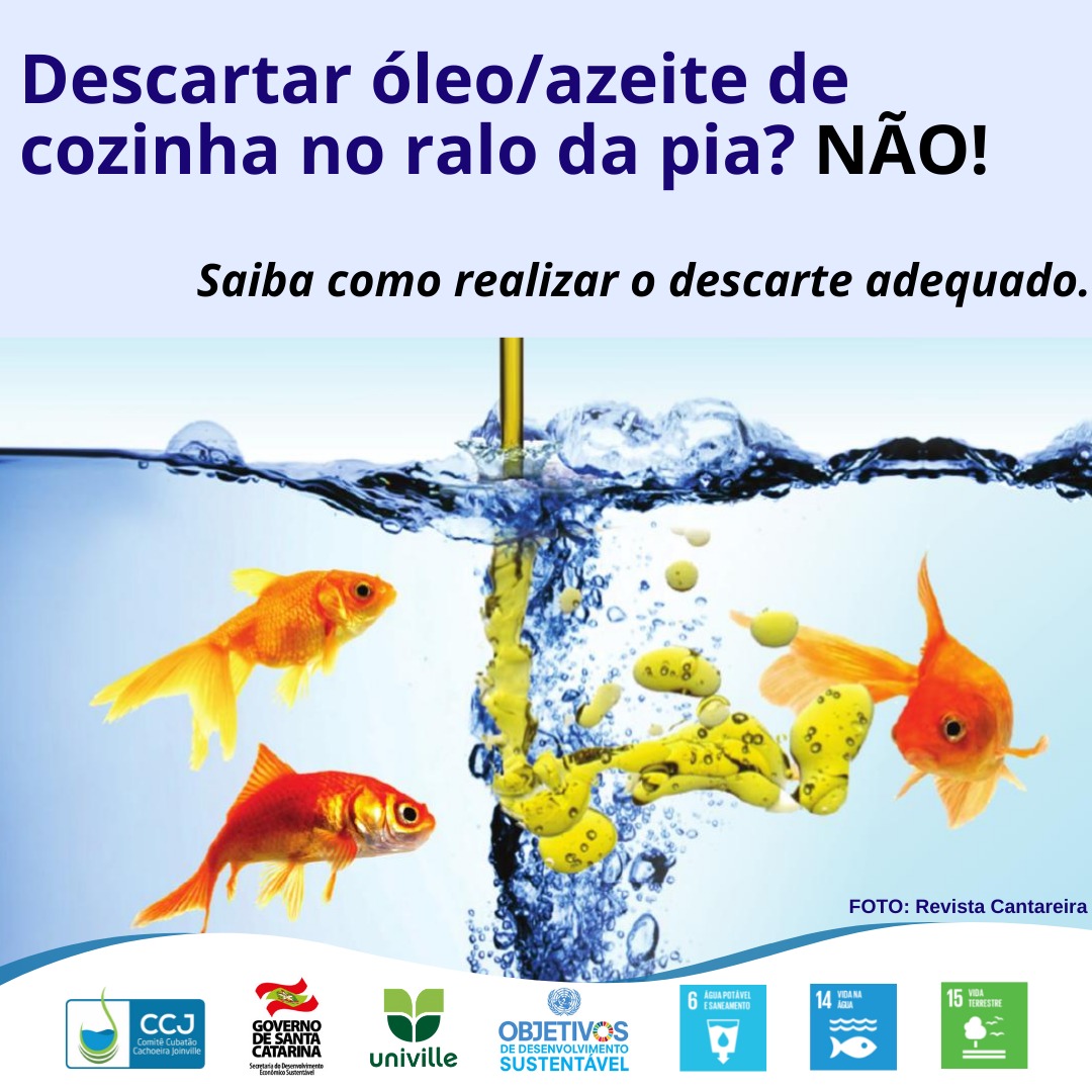 Descarte de óleo/azeite: como descartar corretamente? 