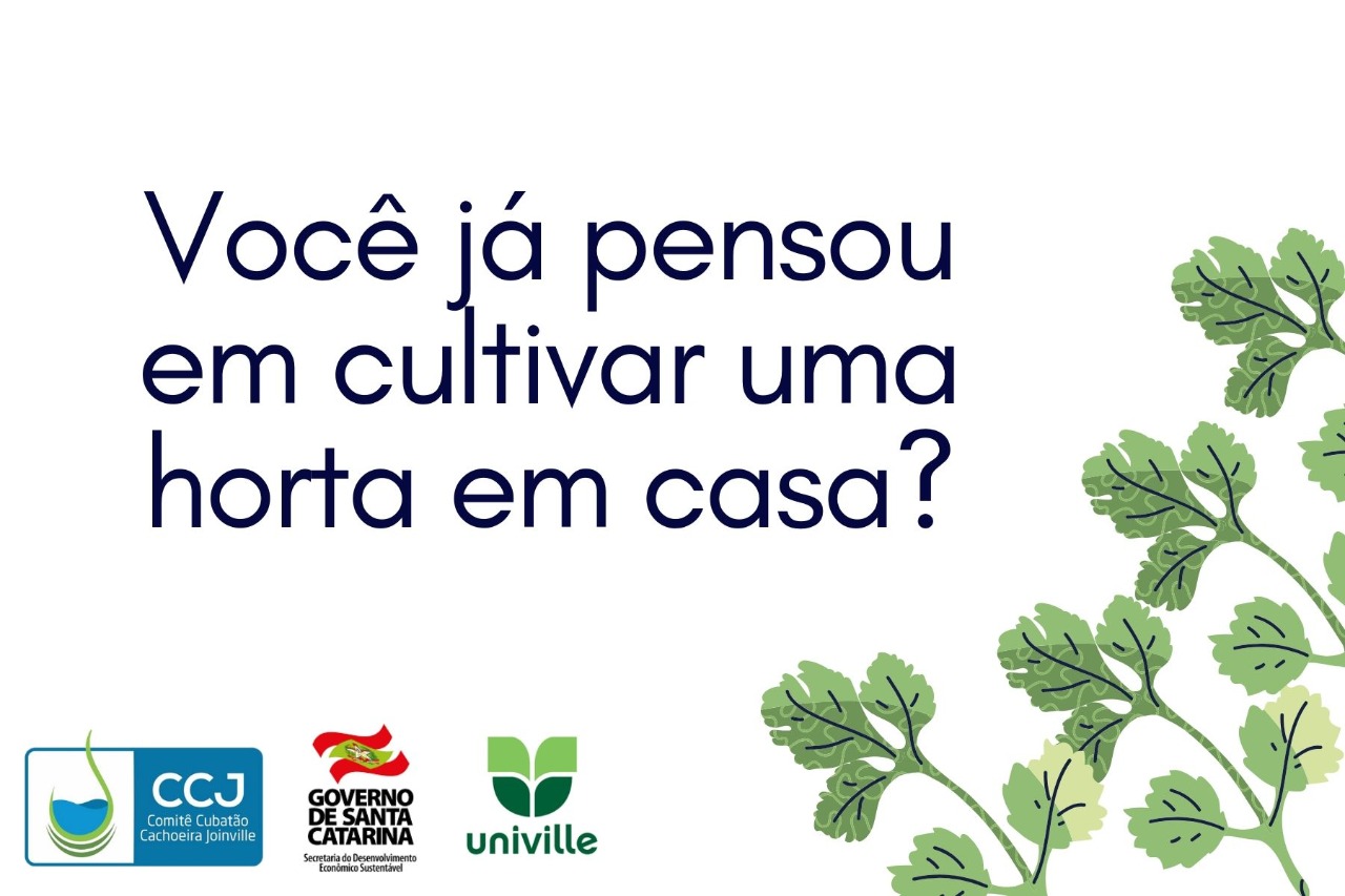 Você já pensou em cultivar uma horta caseira? 