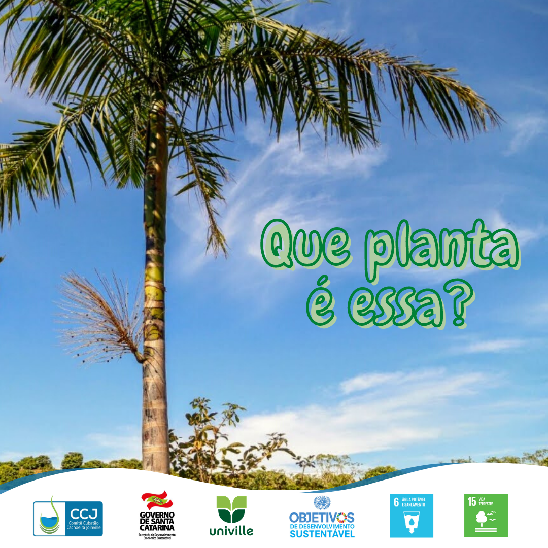 Que Planta é Essa? 