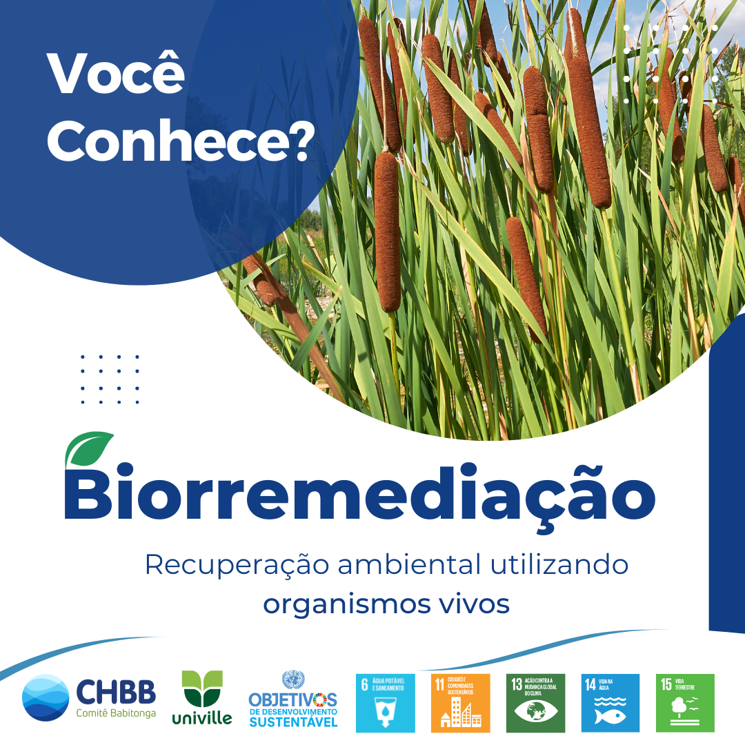 Conheça mais sobre a BIORREMEDIAÇÃO