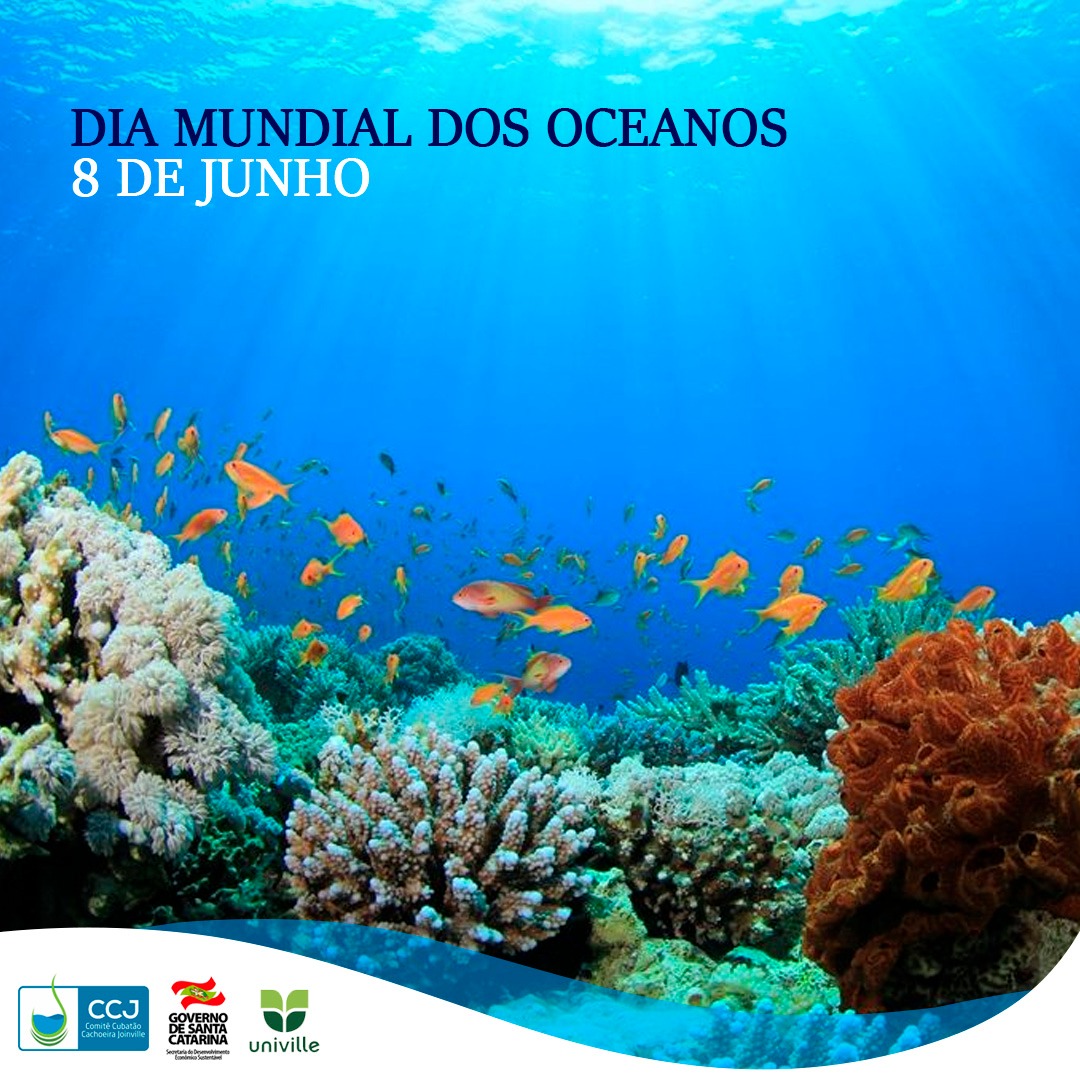08 de Junho: Dia mundial dos oceanos 