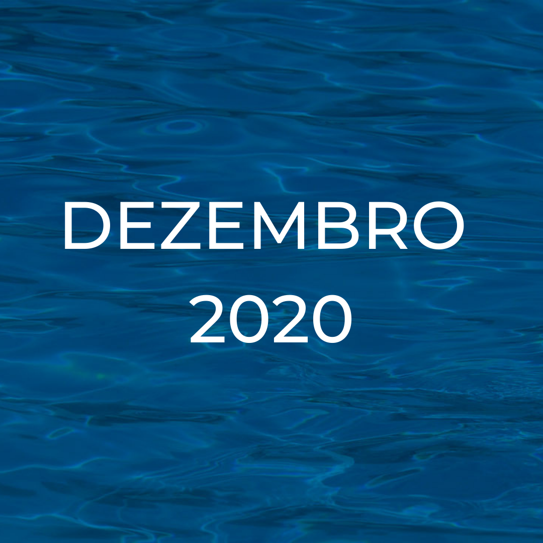 Boletim Informativo - Dezembro