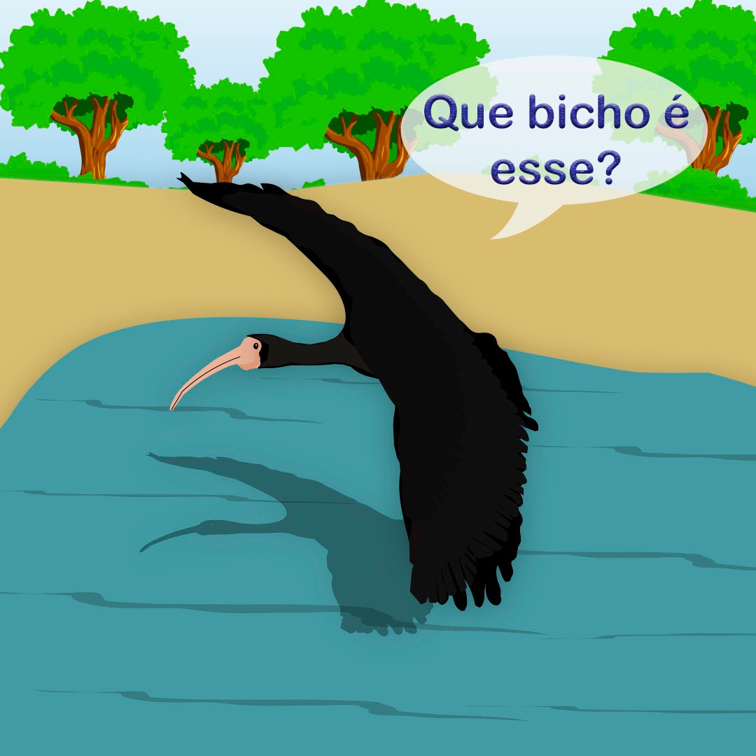 Que Bicho é esse? 