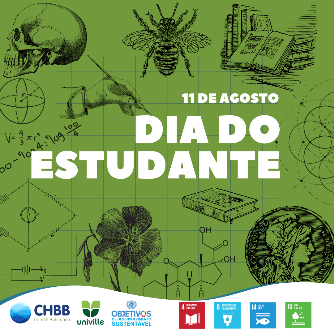 11 de agosto - Dia do Estudante