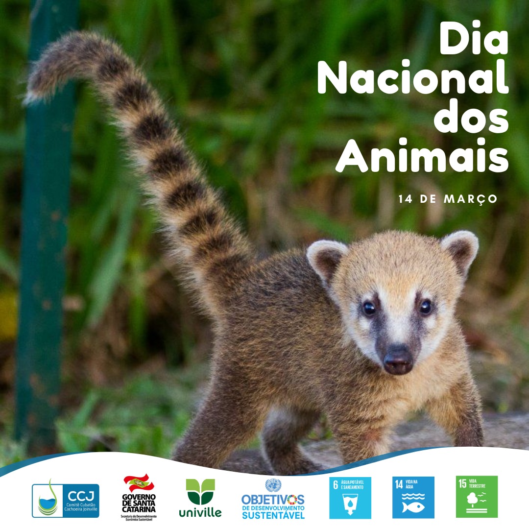  Dia Nacional dos Animais!