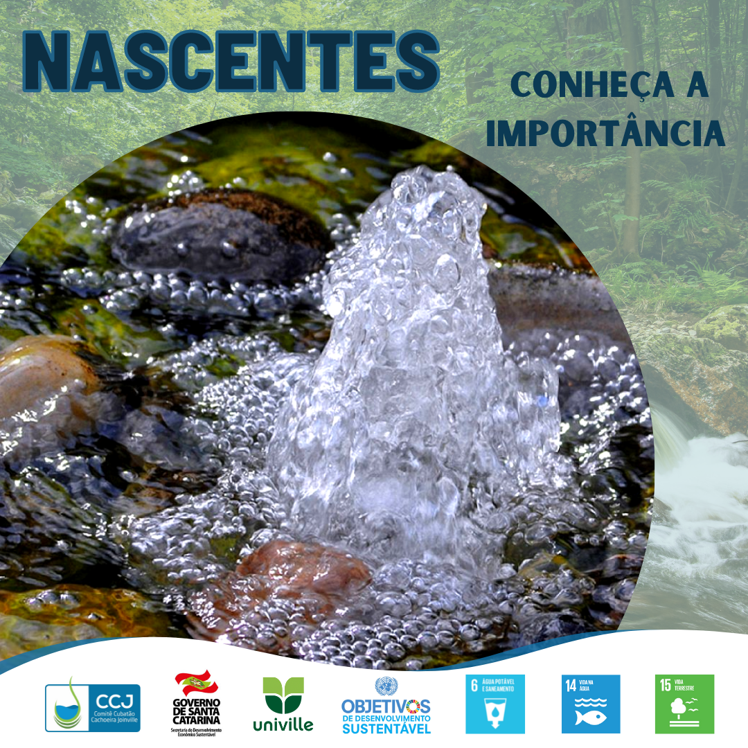 Nascentes
