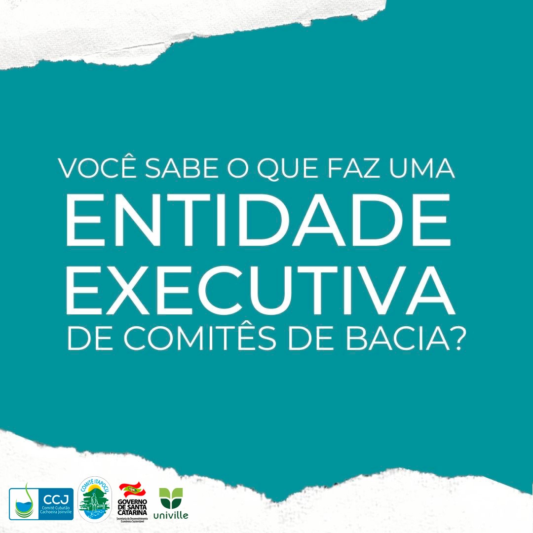 Entidade Executiva Univille 