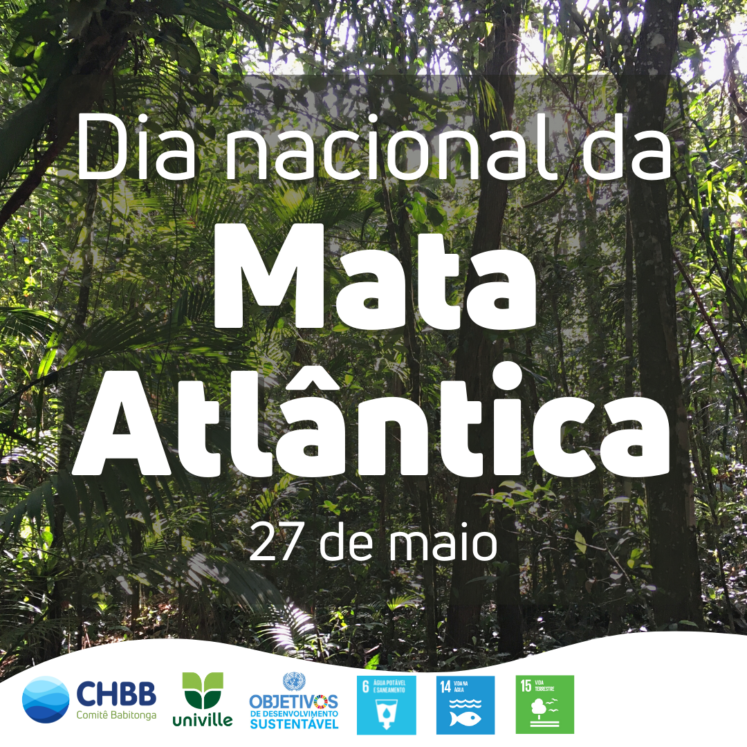 27 de maio - Dia Nacional da Mata Atlântica